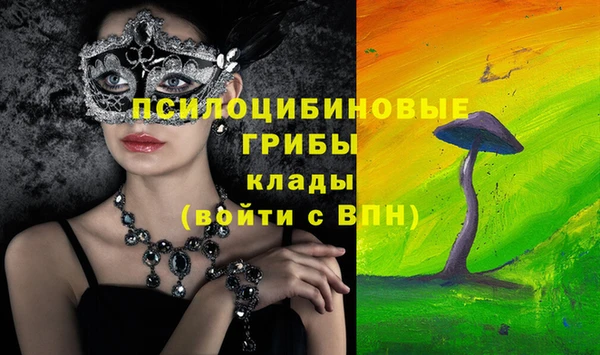 мескалин Медвежьегорск